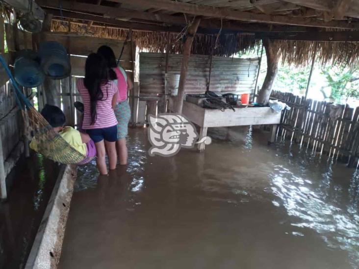 Por temor a robos, familias inundadas en Texistepec evitan ir a refugios