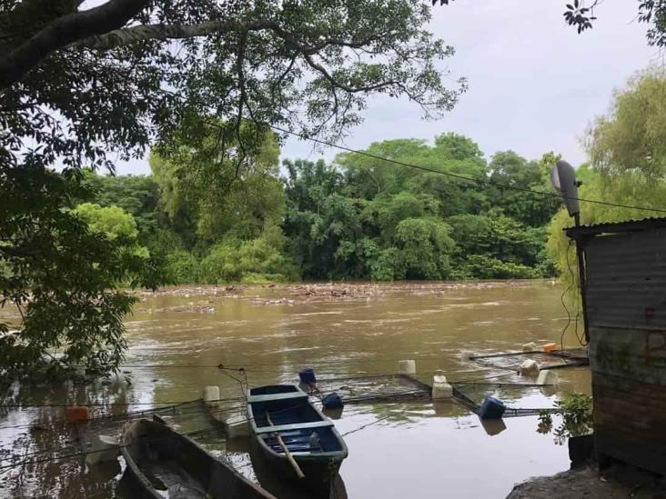 En ascenso nivel del Río Jamapa sobre localidad de El Tejar en Medellín: Conagua