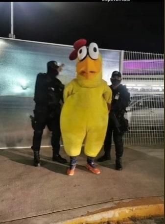 Botarga de pollo es arrestada en aeropuerto de Guadalajara (+Video)