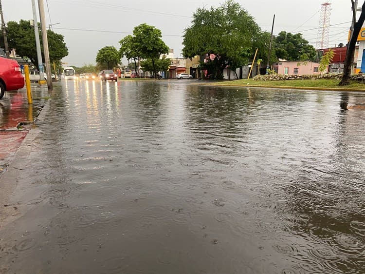 Calles se inundan por lluvias en Veracruz (+Video)