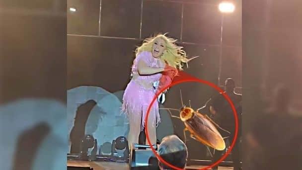 Yuri pega el grito, se le sube cucaracha durante concierto en Nuevo Laredo(Video)