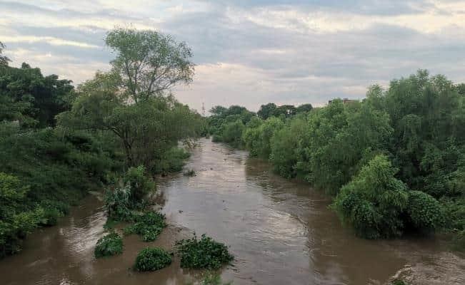 Río San Juan en Veracruz está en escala crítica y podría desbordarse: Conagua
