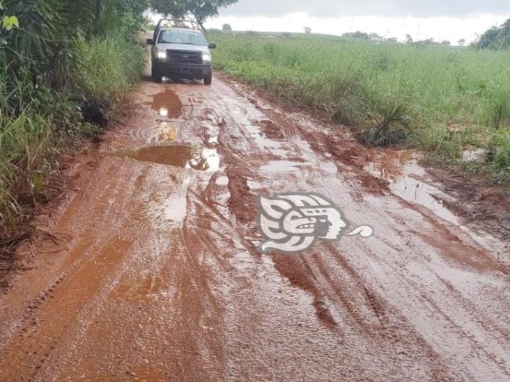 Habilitan nuevas rutas alternas tras colapso de carretera en Acayucan 
