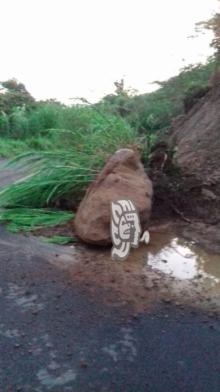 Tras deslave, liberan tramo carretero de Misantla