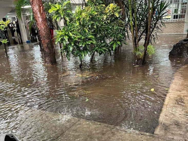 Atenderán problemas de inundaciones en facultad de la UV en Boca del Río