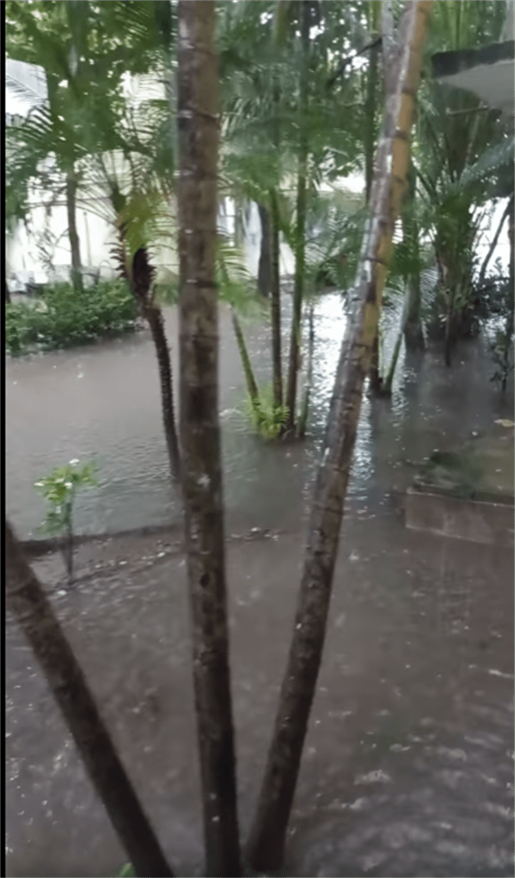 Atenderán problemas de inundaciones en facultad de la UV en Boca del Río
