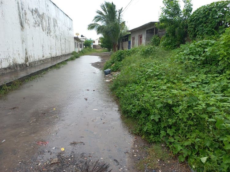 Vecinos exigen pavimentación en Ampliación Las Bajadas, en Veracruz