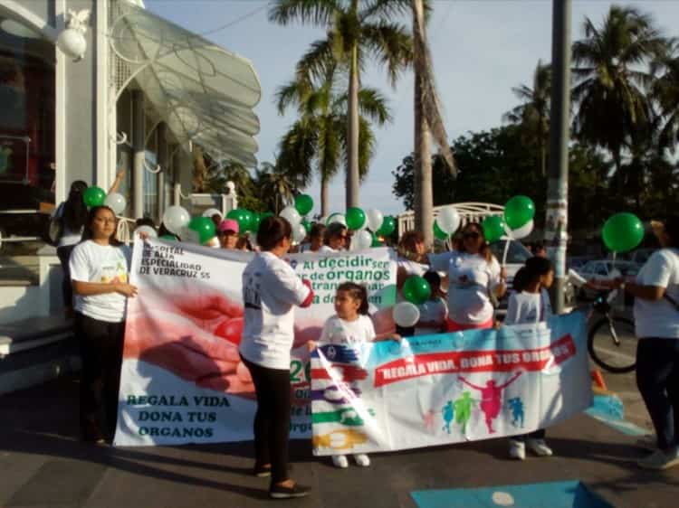 Realizan marcha en favor del Día Nacional de la Donación de Órganos en Veracruz