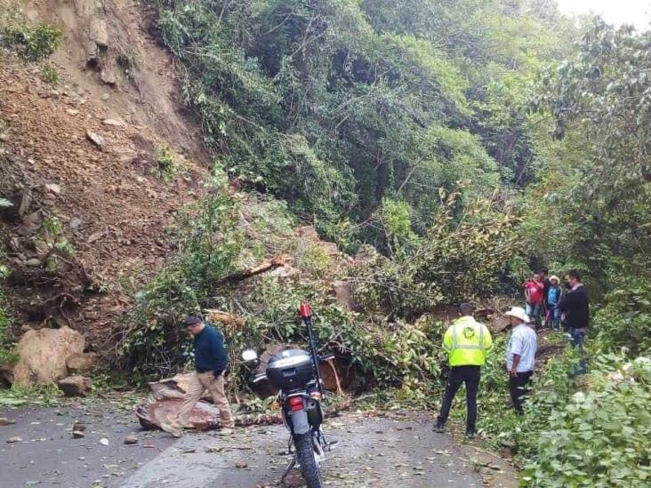 Se registra nuevo derrumbe en carretera de Zongolica a Coetzala