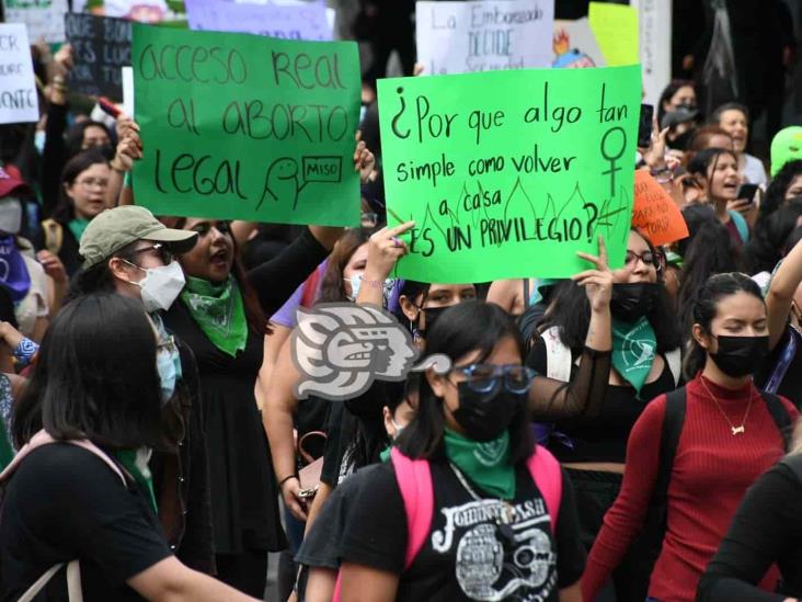 CEDH ha recibido 2 quejas por no garantizar aborto legal en Veracruz