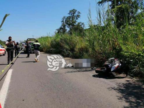 Chofer pierde la vida tras derrapar sobre la carretera Sayula-Acayucan