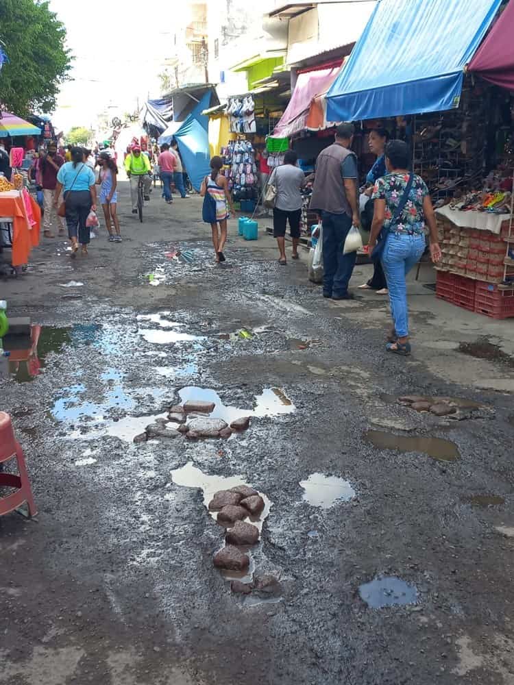 ¿Cuáles son las causas de que haya baches y socavones en Veracruz?