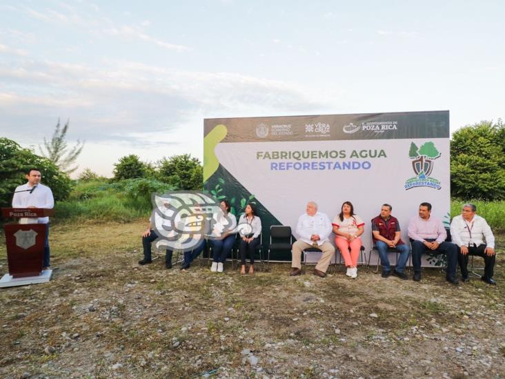 Arranca programa de reforestación en Poza Rica y Coatzintla