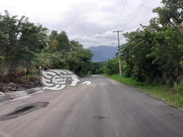 Urge señalética para evitar accidentes en carretera Misantla-Salvador Díaz Mirón