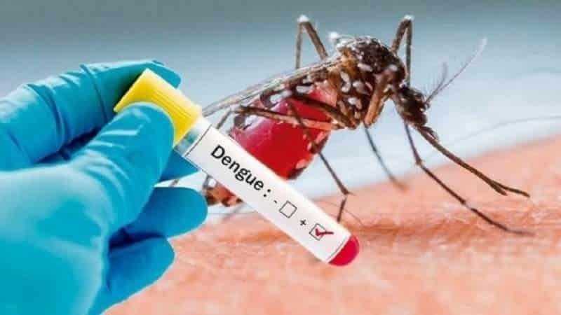 Confirman 818 casos de dengue y una muerte en el estado de Veracruz