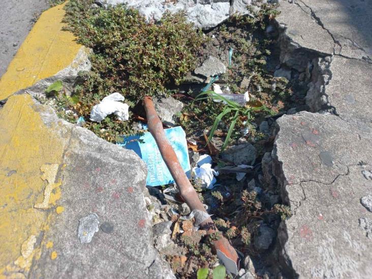 Pavimento roto sobre banqueta pone en peligro a transeúntes en el centro de Veracruz
