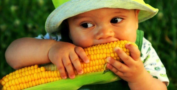 ¿Sabías esto sobre el maíz?