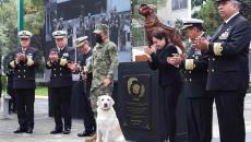 Develan estatua de perrita rescatista Frida