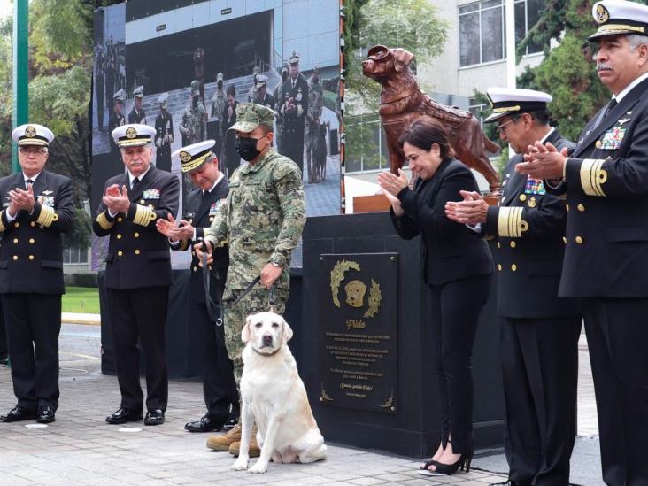 Develan estatua de perrita rescatista Frida