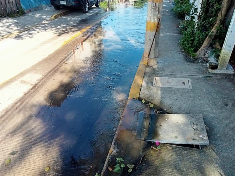 Vecinos en colonia de Veracruz viven entre aguas negras, urgen a Grupo MAS solución