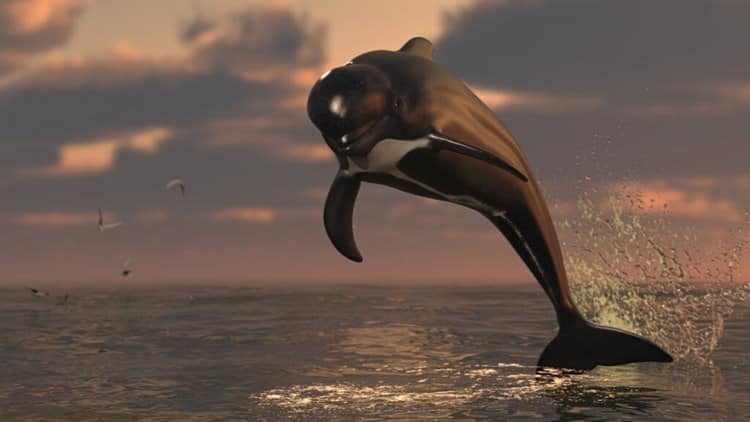 Mueren 250 ballenas piloto varadas en isla de Nueva Zelanda
