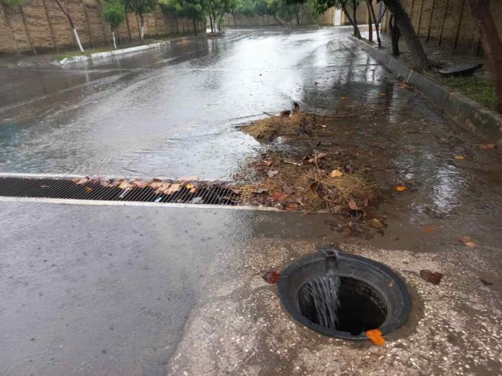 Destapan drenaje para evitar inundaciones en el fraccionamiento Xa´Na, en Veracruz