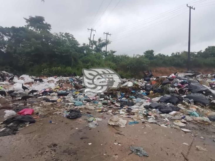 Montones de basura invaden acceso al panteón de Nanchital