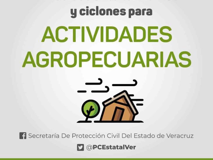 Si realizas actividades agropecuarias, toma estas precauciones ante tormenta tropical