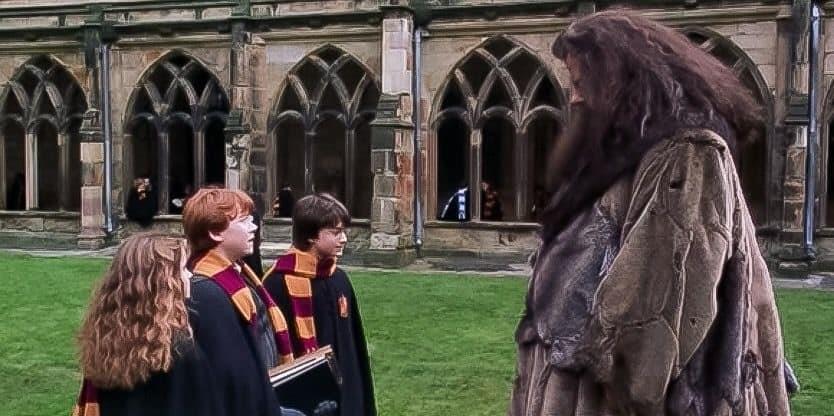 Harry Potter y Hermione se despiden de su amigo Hagrid