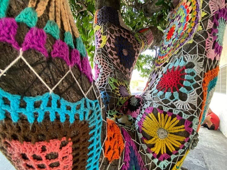 ¿Conoces los árboles “vestidos” de Boca del Río?