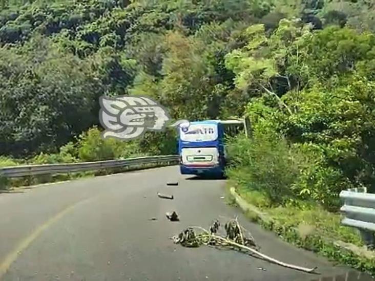 Falla mecánica causó pánico en viajantes de Misantla a Xalapa