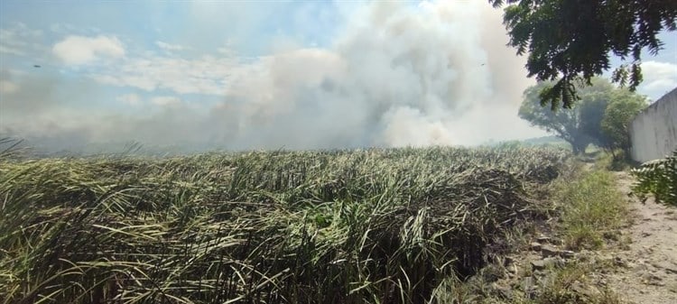 Incendio en pastizal provoca movilización de cuerpos de emergencia en Veracruz