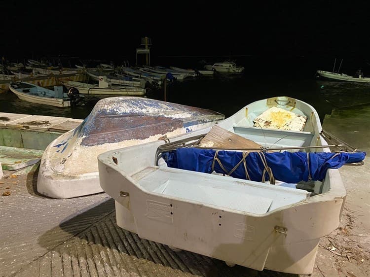 Sector pesquero veracruzano no recibe apoyo de ningún gobierno: Isabel Pastrana