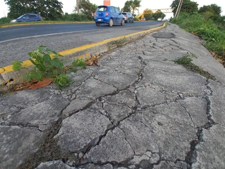 Vecinos de Geovillas del Puerto piden mantenimiento para banquetas deterioradas