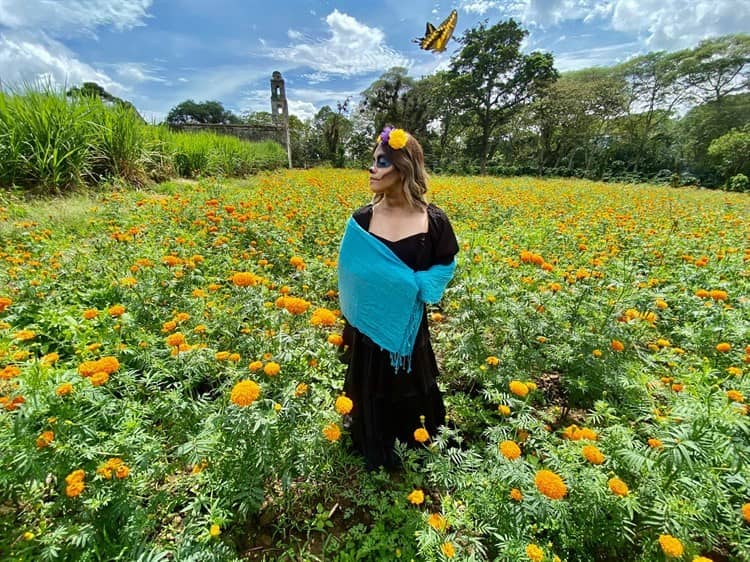 Se pintan de naranja los campos de Veracruz con el cempasúchil