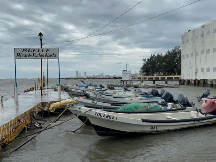 Vientos de norte no causaron daños en Veracruz, afirma Protección Civil (+Video)