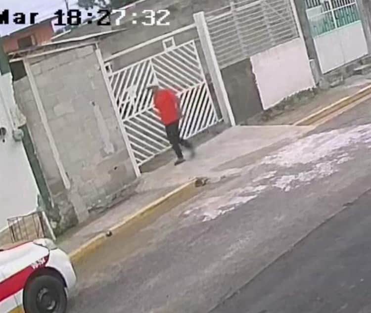 Abandonan a perritos en el interior de una maleta en Veracruz(+Video)