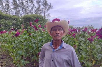 Salvador a sus 78 años cultiva el moco de pavo en Medellín