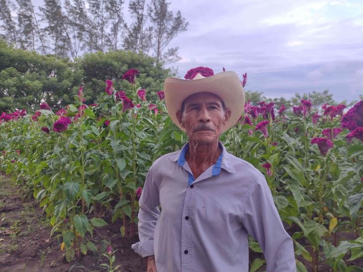 Salvador a sus 78 años cultiva el moco de pavo en Medellín