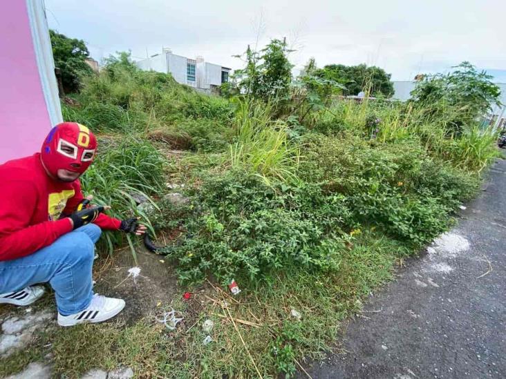 Terrenos baldíos en Boca del Río causan temor a los vecinos