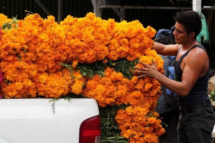 Se elevan precios de flores de cempasúchil y moco pavo en Veracruz por Todos Santos