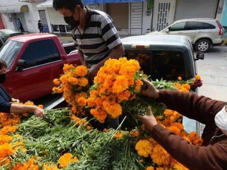 Se elevan precios de flores de cempasúchil y moco pavo en Veracruz por  Todos Santos