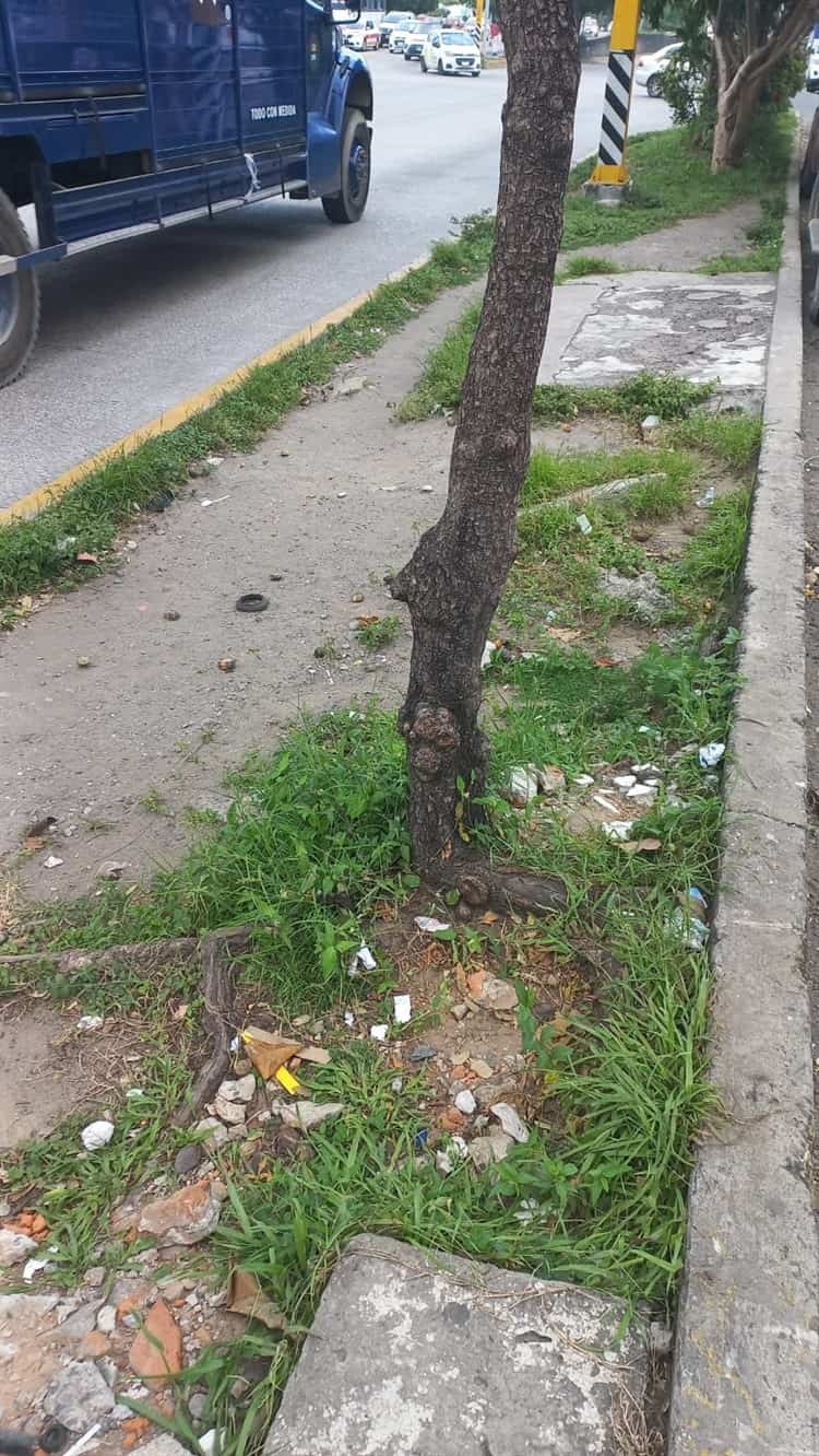 Vecinos urgen reparación de banquetas y calles en Unidad Habitacional El Coyol en Veracruz