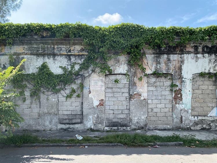 Veracruz, entre espacios abandonados y la naturaleza (+fotos)