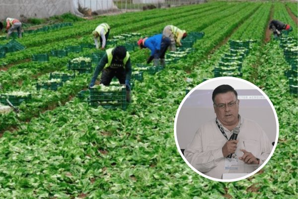 Veracruz destaca en agricultura, pero carece de infraestructura(+Video)