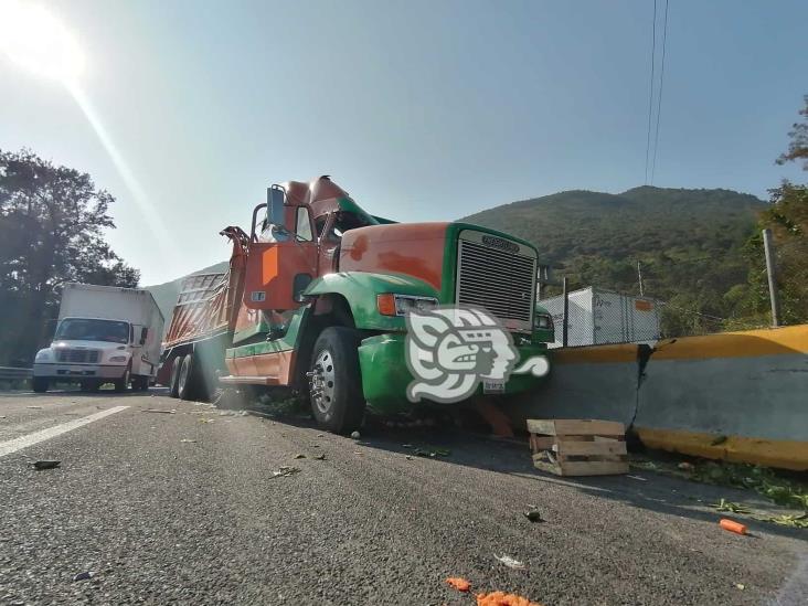 Vuelca camión con legumbres en la Puebla-Orizaba; y sí, hubo rapiña (+Video)