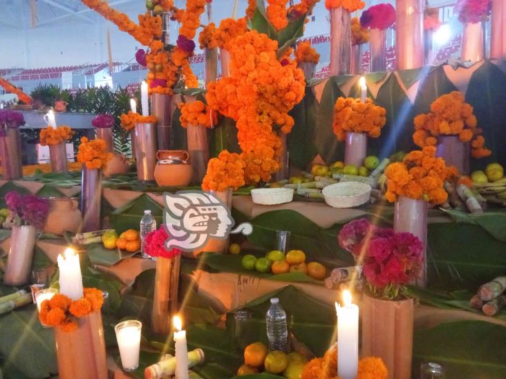 Catrinas de pueblos originarios de Veracruz, entre flores y maíz en el Altar Más Grande del Mundo (+Video)