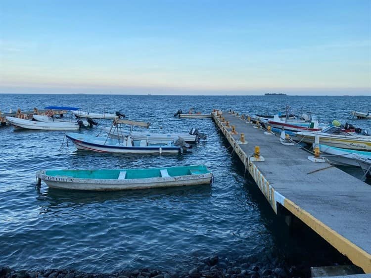 Pescadores de Veracruz afectados por captura de especies tras fenómenos climáticos