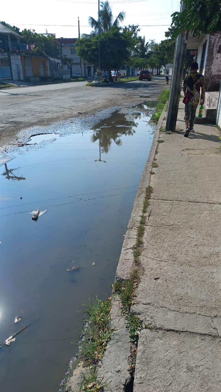 Registros incompletos, baches y aguas negras afectan a vecinos de colonia en Veracruz