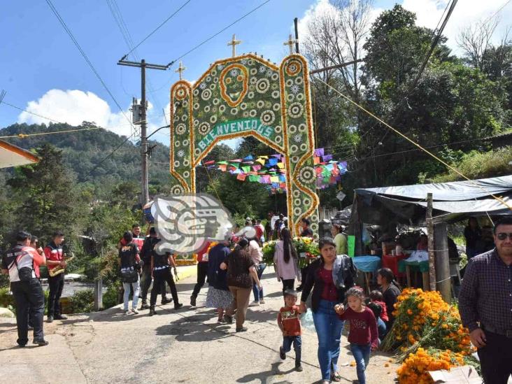 Abarrotan cementerio de Tequila en celebración de Todos Santos (+Video)